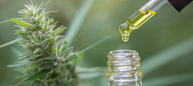 Olejek CBD – właściwości, które mogą pomóc w walce z różnymi dolegliwościami